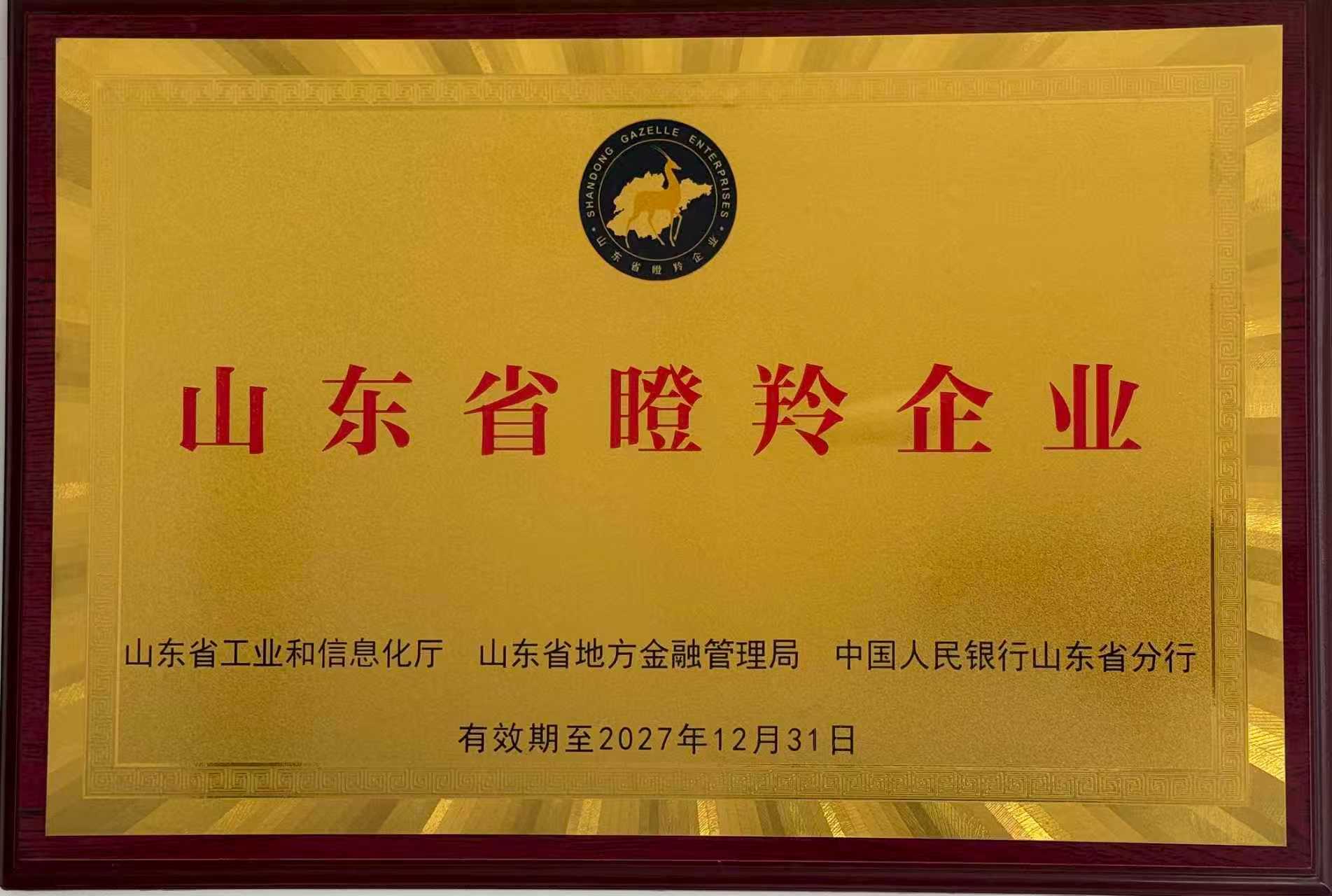 荣誉资质